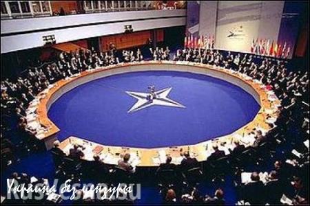 Американский аналитик: в НАТО хотят, чтобы все смирились с гонкой вооружений