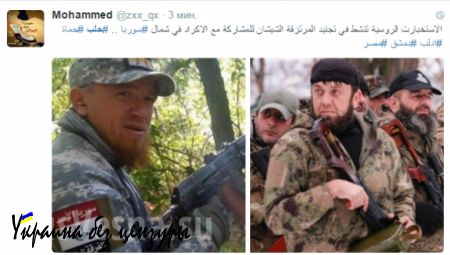 Сенсация от «умеренной сирийской оппозиции» — чеченцы и Моторола прибыли с Донбасса в «Туркменские горы» резать головы противникам Асада (ФОТОФАКТ)