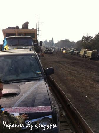 Карателей из «Айдара» вернули в зону «АТО» (ФОТО)