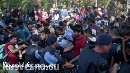 Европа разработала план спасения себя от мигрантов