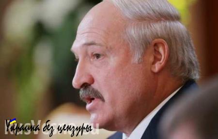 Лукашенко: неправильно, когда Нобелевский лауреат «льет грязь» на свою страну