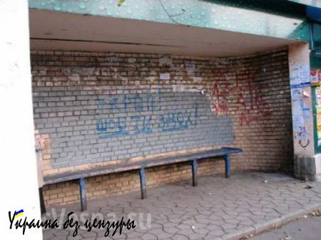 Выборы в Краматорске — фотофакт (18+)