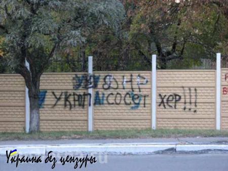 Выборы в Краматорске — фотофакт (18+)