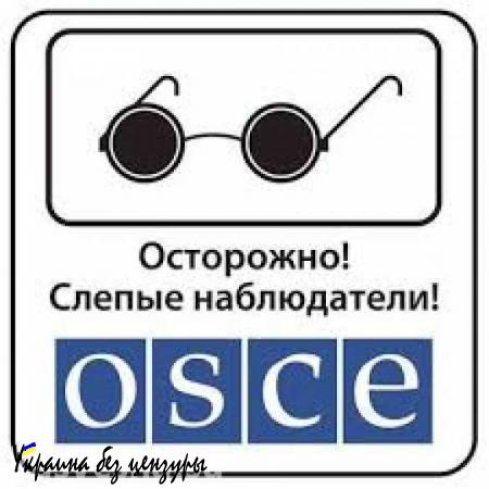 С широко закрытыми глазами: в ОБСЕ назвали прошедшие на Украине выборы «демократичными»