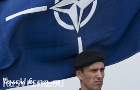 Большинство финнов выступает против вступления страны в НАТО