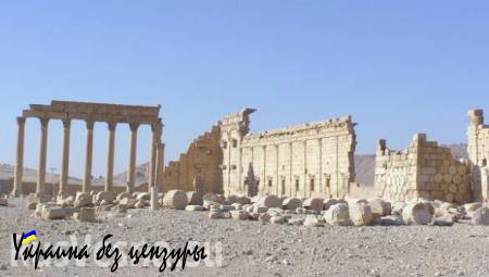 Боевики ИГ казнили людей на развалинах древней Пальмиры