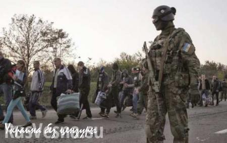 Киев пытается устраивать торги из обмена пленным, — глава ЛНР