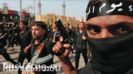 ФСБ РФ: Боевики ИГИЛ могут вторгнуться на южные рубежи СНГ (ВИДЕО)