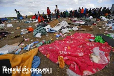 Мигранты оставили в Словении более 100 тонн мусора