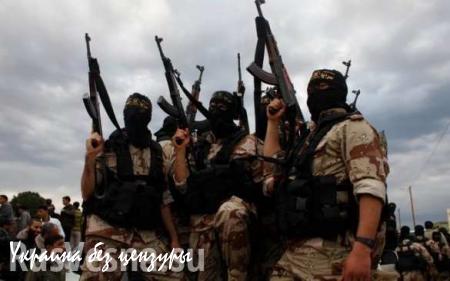 Сирийская оппозиция готовит штурм столицы ИГИЛ, чтобы завладеть нефтью