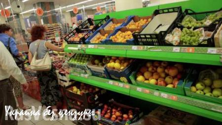 Российские производители просят проверить импортные овощи