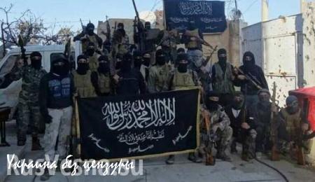 Генштаб: «Джебхат ан-Нусра» разделилась между ИГИЛ и умеренной оппозицией