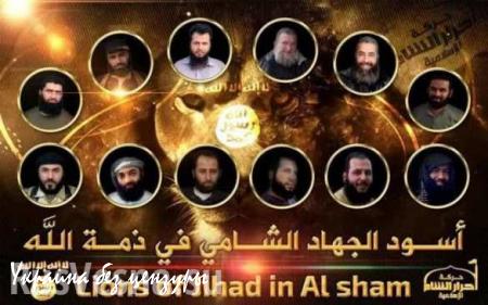 Террористы в Сирии рвут связи с «Аль-каидой» и пытаются стать «легальной оппозицией»
