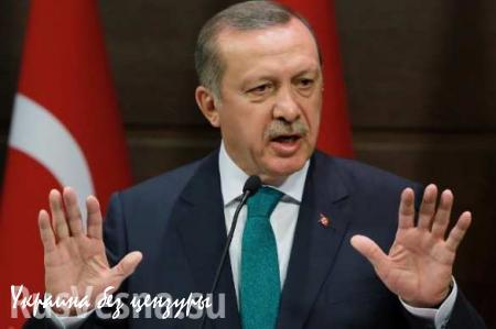 Эрдоган: Турция уничтожила 2 тысячи боевиков-исламистов