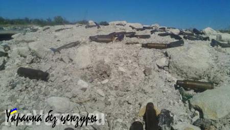 Грибник подорвался на растяжке недалеко от Луганска, — МВД ЛНР