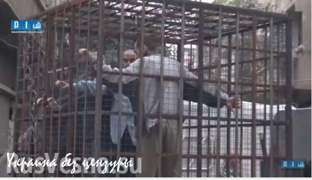 Варварское ПВО: исламисты используют пленных в клетках против ВКС РФ (ВИДЕО)