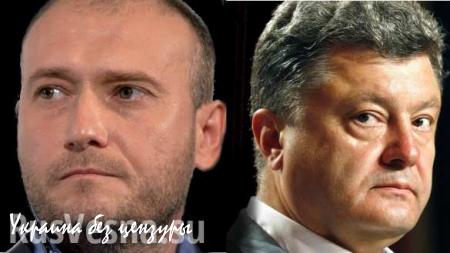 Ярош: Выборы в Мариуполе надо перенести на 2017 год, чтобы успеть развернуть мировоззрение населения в сторону Украины
