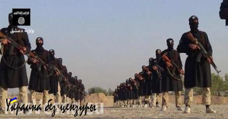 «Аль-Каида» зовет дружить ИГИЛ против Москвы