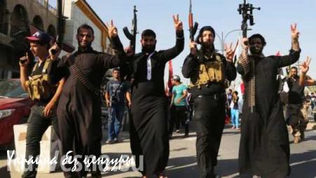 Полюса раскола: в Сирии «боевиков» хотят противопоставить «террористам»