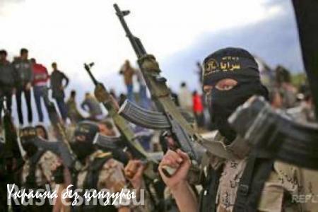 Минобороны РФ: В рядах ИГИЛ воюют до 30 тысяч иностранных боевиков
