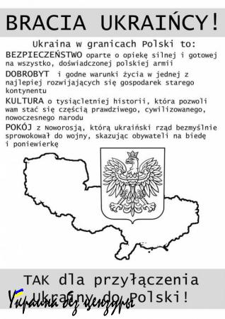 В Гданьске ультраправые поляки обклеили церковь листовками, призывающими присоединить Украину к Польше (ФОТО)