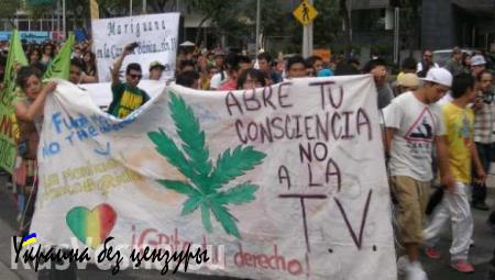 Легализации марихуаны в Мексике нет, несмотря на решение Верховного Суда