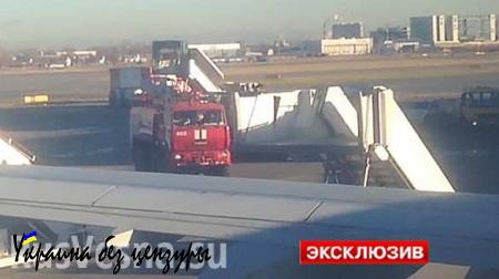 СРОЧНО: Из самолета «Когалымавиа» в Пулково эвакуируют пассажиров (ФОТО)