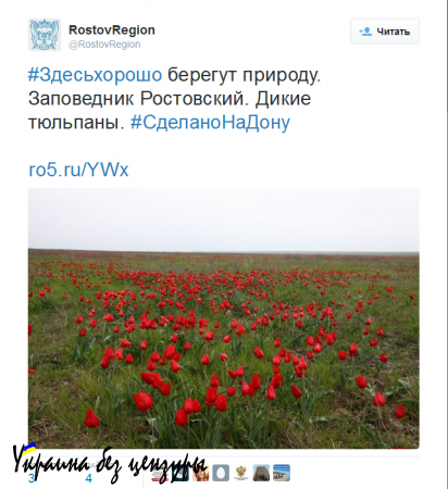 Руководители регионов России приняли участие во флешмобе #здесьхорошо (ФОТО)