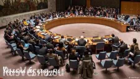 Первый замгенсека ООН: применение в СБ ООН права вето следует рассматривать как провал