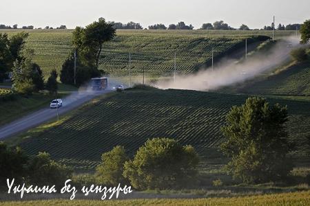 Жизнь после Обамы: кого выберет Америка (ФОТО)