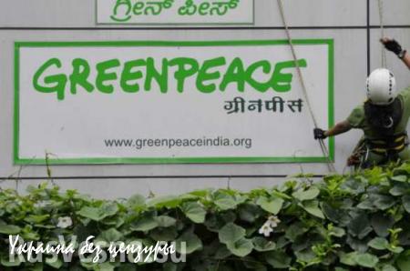 Власти Индии запретили Greenpeace работать в стране
