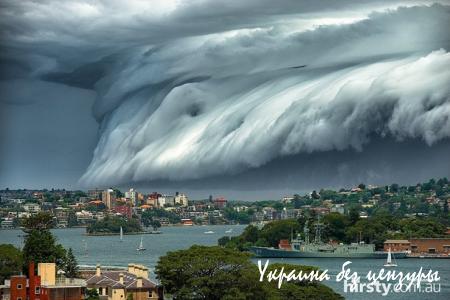Сидней накрыло редкое облачное цунами