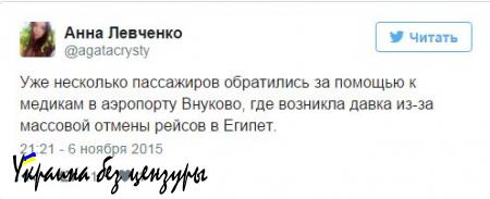 Помощница Астахова сообщает о давке во «Внуково»