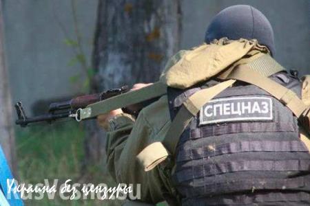 В Дагестане ликвидирован главарь «махачкалинской» банды (ВИДЕО)