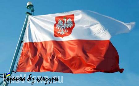 Польский политик рассказал, зачем его стране нужны украинцы