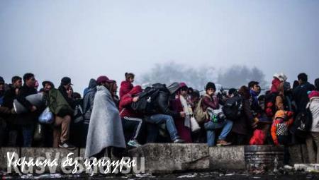 Европа готова платить миллиарды за вывоз беженцев в Африкут — СМИ  (ВИДЕО)