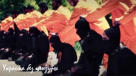 О геополитике, ИГИЛ и конспирологии: «Исламское государство» ждет судьба «Третьего рейха» (ФОТО)