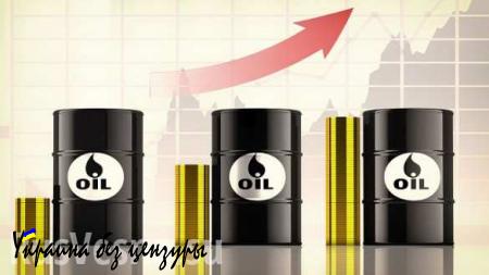 Хедж-фонды поверили в рост цен на нефть