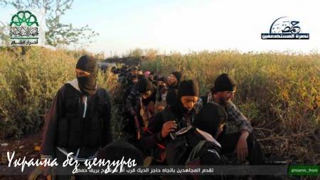 Армии террористов в Сирии: прошлое и будущее «Джебхат ан-Нусра» (ФОТО)