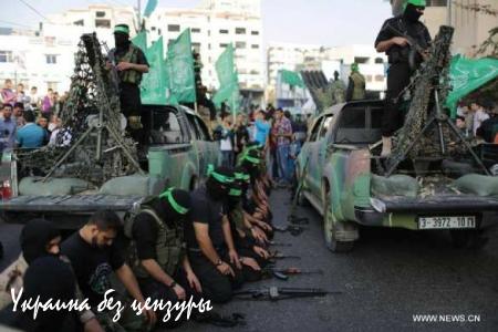Армии террористов в Сирии: прошлое и будущее «Джебхат ан-Нусра» (ФОТО)