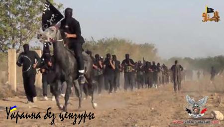 Армии террористов в Сирии: прошлое и будущее «Джебхат ан-Нусра» (ФОТО)