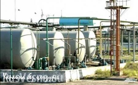 На Украине обнаружили подпольный нефтеперерабатывающий завод (ФОТО)
