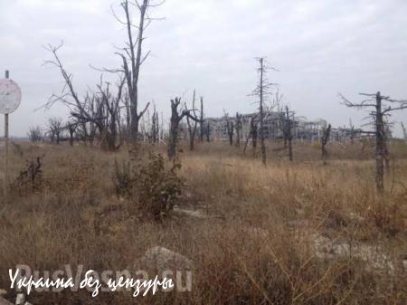 Украинские каратели ведут обстрел Донецкого аэропорта (ФОТО)