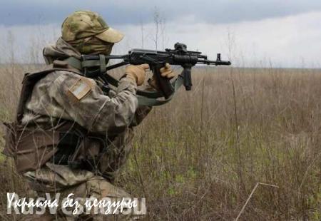ОБСЕ зафиксировала факт смерти бойца ЛНР, ставшего жертвой украинских диверсантов