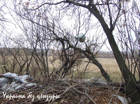 Бывшие военнослужащие ВСУ обратились к своим коллегам с призывом прекратить войну с собственным народом (ФОТОРЕПОРТАЖ «Русской Весны»)