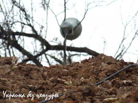 Бывшие военнослужащие ВСУ обратились к своим коллегам с призывом прекратить войну с собственным народом (ФОТОРЕПОРТАЖ «Русской Весны»)