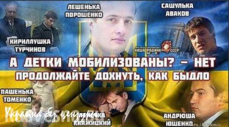 Ржавчина: «золотая» молодёжь Украины