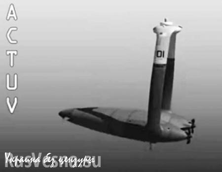В США ищут ответ на усиление ВМФ России: разрабатывается подводный беспилотник