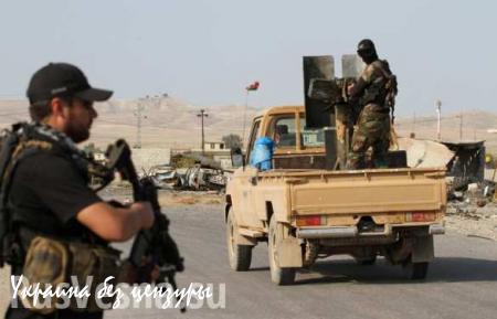 Курдское ополчение освободило от боевиков ИГ администрацию Синджара