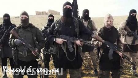 «Исламское государство» угрожает терактами в России